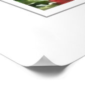 Mackinac Island Poster (Hoek)