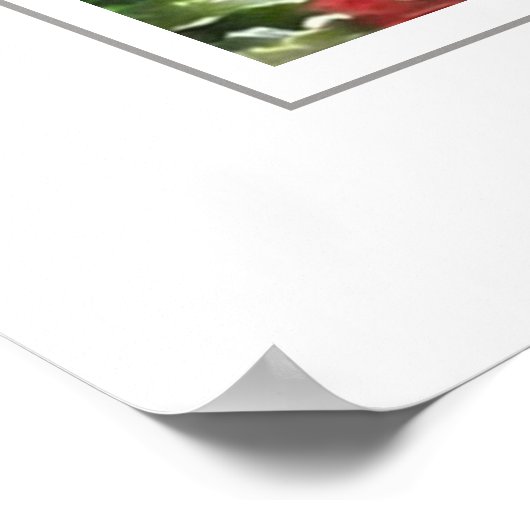 Mackinac Island Poster (Hoek)