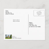 Mackinac Point Light Bedankt Briefkaart (Achterkant)