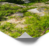 Mackinacs Arch Rock Poster (Hoek)