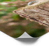 MACKINDER ELLE OWL POSTER (Hoek)