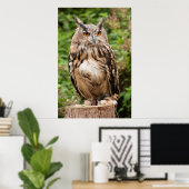 MACKINDER ELLE OWL POSTER (Thuiskantoor)