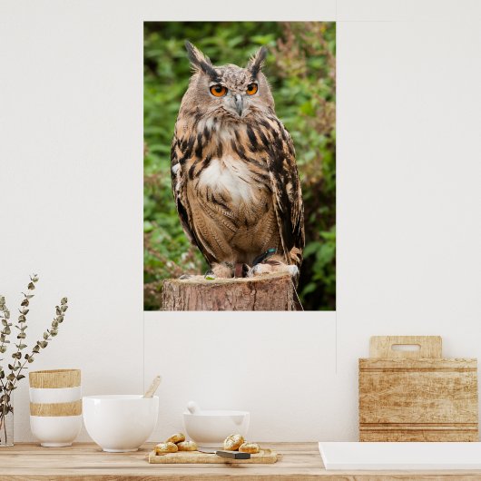 MACKINDER ELLE OWL POSTER (Keuken)