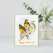 Macklot's Trogon (1850-1883)  Briefkaart (Staand voorkant)