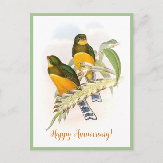 Macklot's Trogon (1850-1883)  Briefkaart (Voorkant)