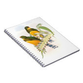 Macklot's Trogon Notitieboek (Rechterzijde)