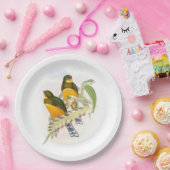 Macklot's Trogon Papieren Bordje (Feest)