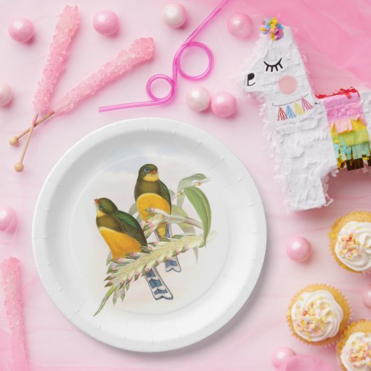 Macklot's Trogon Papieren Bordje (Feest)