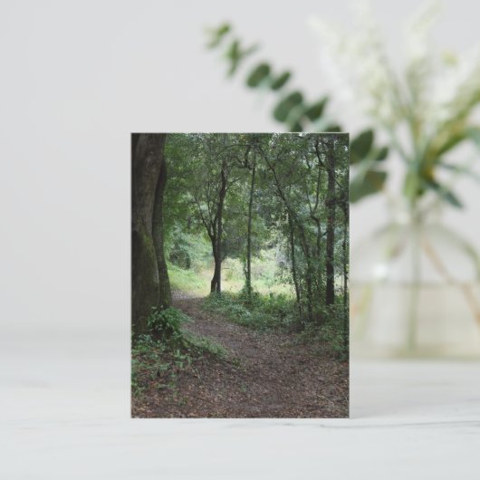 Maclay Gardens Briefkaart (Staand voorkant)