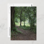 Maclay Gardens Briefkaart (Voorkant / Achterkant)