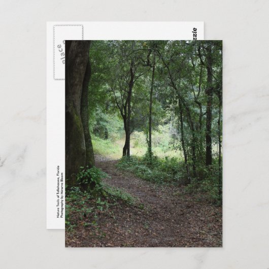 Maclay Gardens Briefkaart (Voorkant / Achterkant)