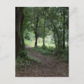 Maclay Gardens Briefkaart (Voorkant)