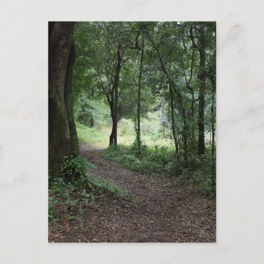 Maclay Gardens Briefkaart (Voorkant)