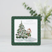 MacLean Jacht Oude Tartan Gelukkige Pawholidays (Staand voorkant)