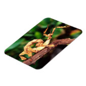 Macleay's Specter (Spiney Stick Insect) Magneet (Linkerzijde)