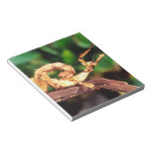 Macleay's Specter (Spiney Stick Insect) Notitieblok (Schuin)