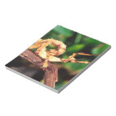 Macleay's Specter (Spiney Stick Insect) Notitieblok (Linkerzijde)