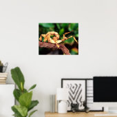 Macleay's Specter (Spiney Stick Insect) Poster (Thuiskantoor)