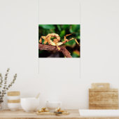Macleay's Specter (Spiney Stick Insect) Poster (Keuken)