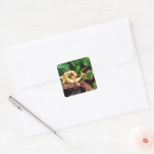 Macleay's Specter (Spiney Stick Insect) Vierkante Sticker (Envelop)