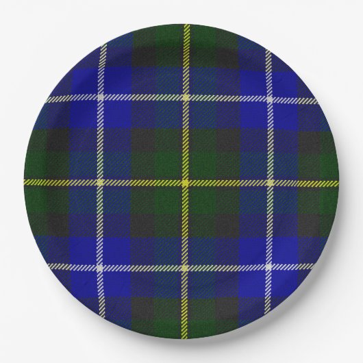 Macneil van Barra tartan blauw groen gelooid Papieren Bordje (Voorkant)
