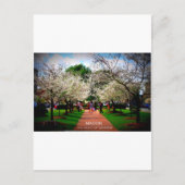 Macon, Georgië Briefkaart (Voorkant)