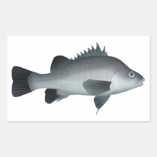 Macquarie Perch Rechthoekige Sticker
