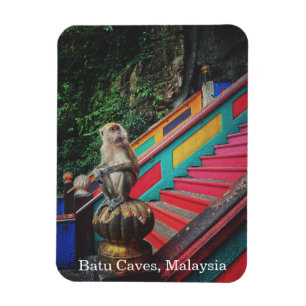 Macque Monkey bij Batu Caves, Maleisië Reizen Magneet