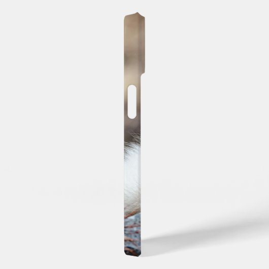 Macque Monkey, Japanse Aap Fotografie Case-Mate iPhone Case (Achterkant / Rechts)