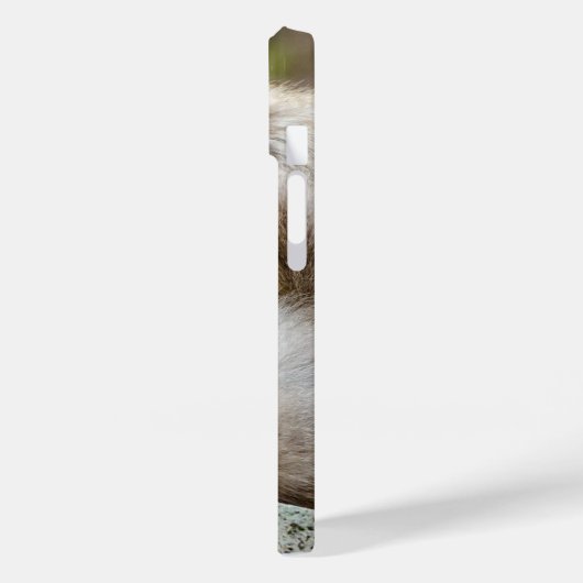 Macque Monkey, Japanse Aap Fotografie Case-Mate iPhone Case (Achterkant / Links)