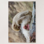 Macque Monkey, Japanse Aap Fotografie Legpuzzel (Verticaal)
