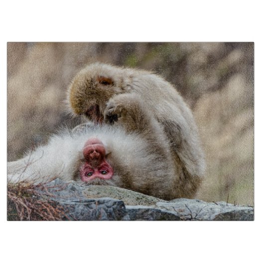 Macque Monkey, Japanse Aap Fotografie Snijplank (Voorkant)