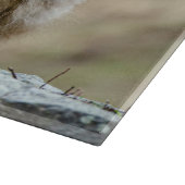 Macque Monkey, Japanse Aap Fotografie Snijplank (Hoek)