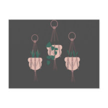 Macrame Planten Hanger Planter Potten Illustratie