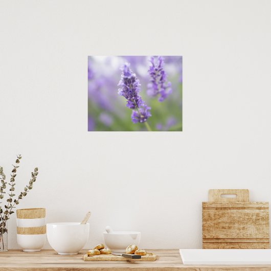 Macro-afbeelding van lavenderbloemen met zeer poster (Keuken)