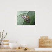 Macro-afdruk voor Small Magpie Moth Poster (Keuken)