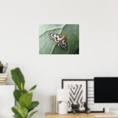 Macro-afdruk voor Small Magpie Moth Poster (Thuiskantoor)