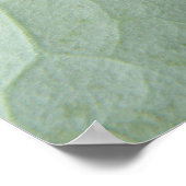 Macro-afdruk voor Small Magpie Moth Poster (Hoek)