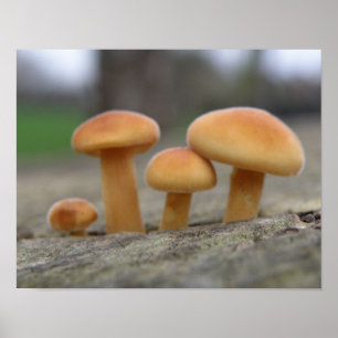 Macro-afdrukken met kleine gereedschappen poster
