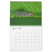 Macro-Amerikaanse wandkalender Kalender (Feb 2026)