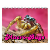 Macro-Amerikaanse wandkalender Kalender (Hoes)
