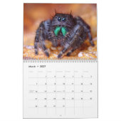 Macro-Amerikaanse wandkalender Kalender (Mar 2027)