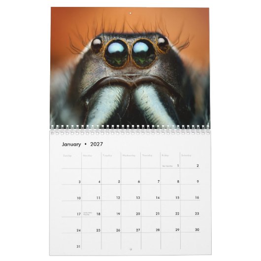 Macro-Amerikaanse wandkalender Kalender (Jan 2027)