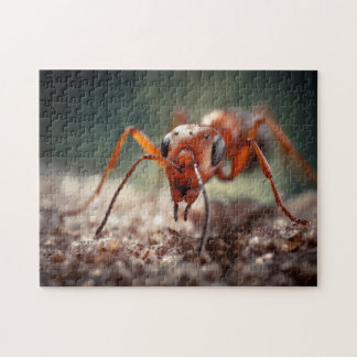 Macro Ant Wonders Legpuzzel