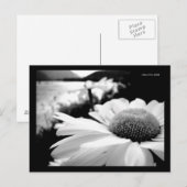 Macro B&W-ventilator per rivierwater-Briefkaart Briefkaart (Voorkant / Achterkant)