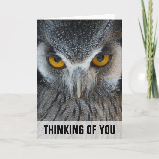 Macro Black and White Owl Thinking You Card Kaart (Voorkant)