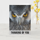 Macro Black and White Owl Thinking You Card Kaart (Gele Bloem)