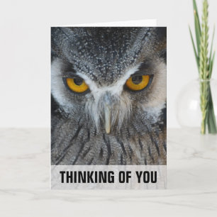 Macro Black and White Owl Thinking You Card Kaart