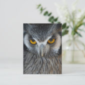 Macro Black en White Owl Briefkaart (Staand voorkant)