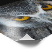 Macro Black en White Owl Foto Afdruk (Hoek)